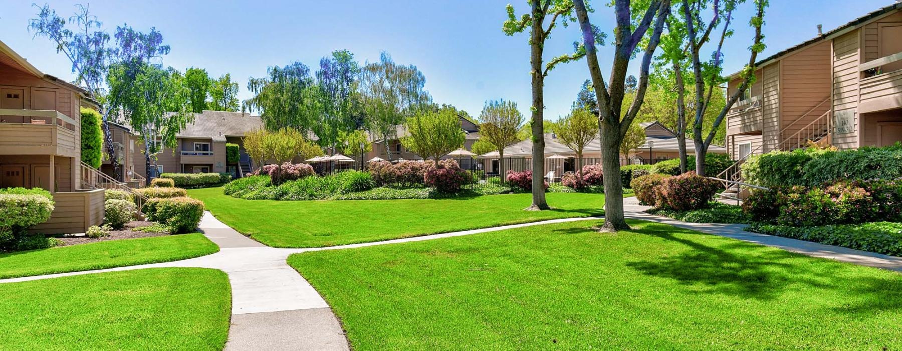 a sidewalk and a lawn with trees
