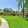 a sidewalk and a lawn with trees