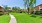 a sidewalk and a lawn with trees