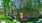 a house with trees and grass